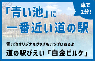 道の駅ビルケ