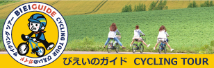 びえいのがいど